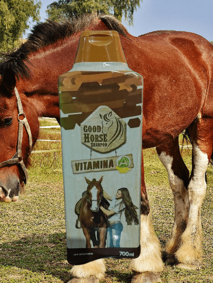 Shampoo de Cavalo Good Horse funciona? Testei e me surpreendi (Nossa Cuidado!)